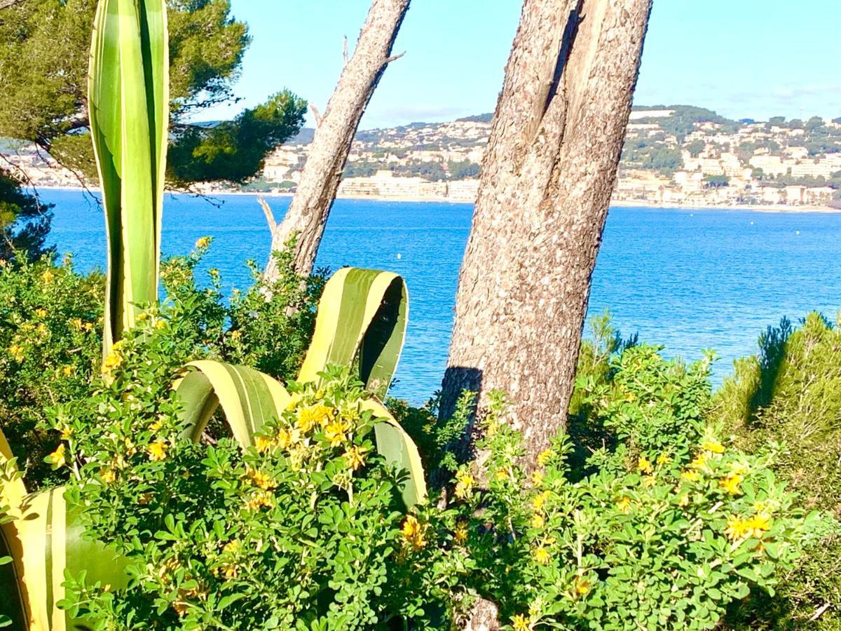 La Plage A 5 Minutes A Pied, Calme Et Verdure ساناري سور مير المظهر الخارجي الصورة